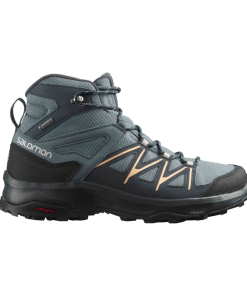 DAINTREE Mid GTX W